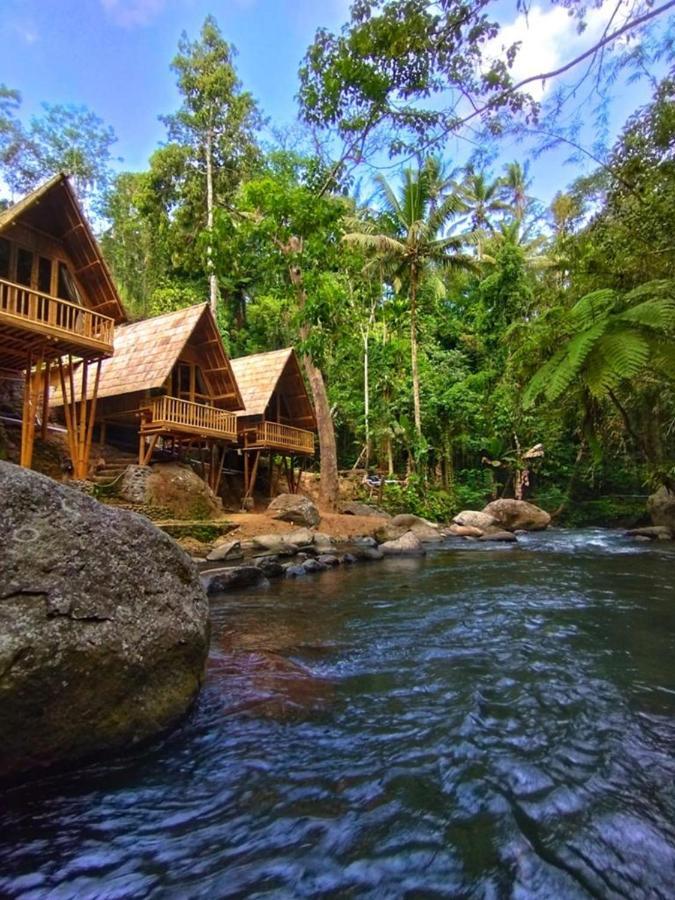 Aksha Riverside Ubud Tampaksiring Eksteriør billede