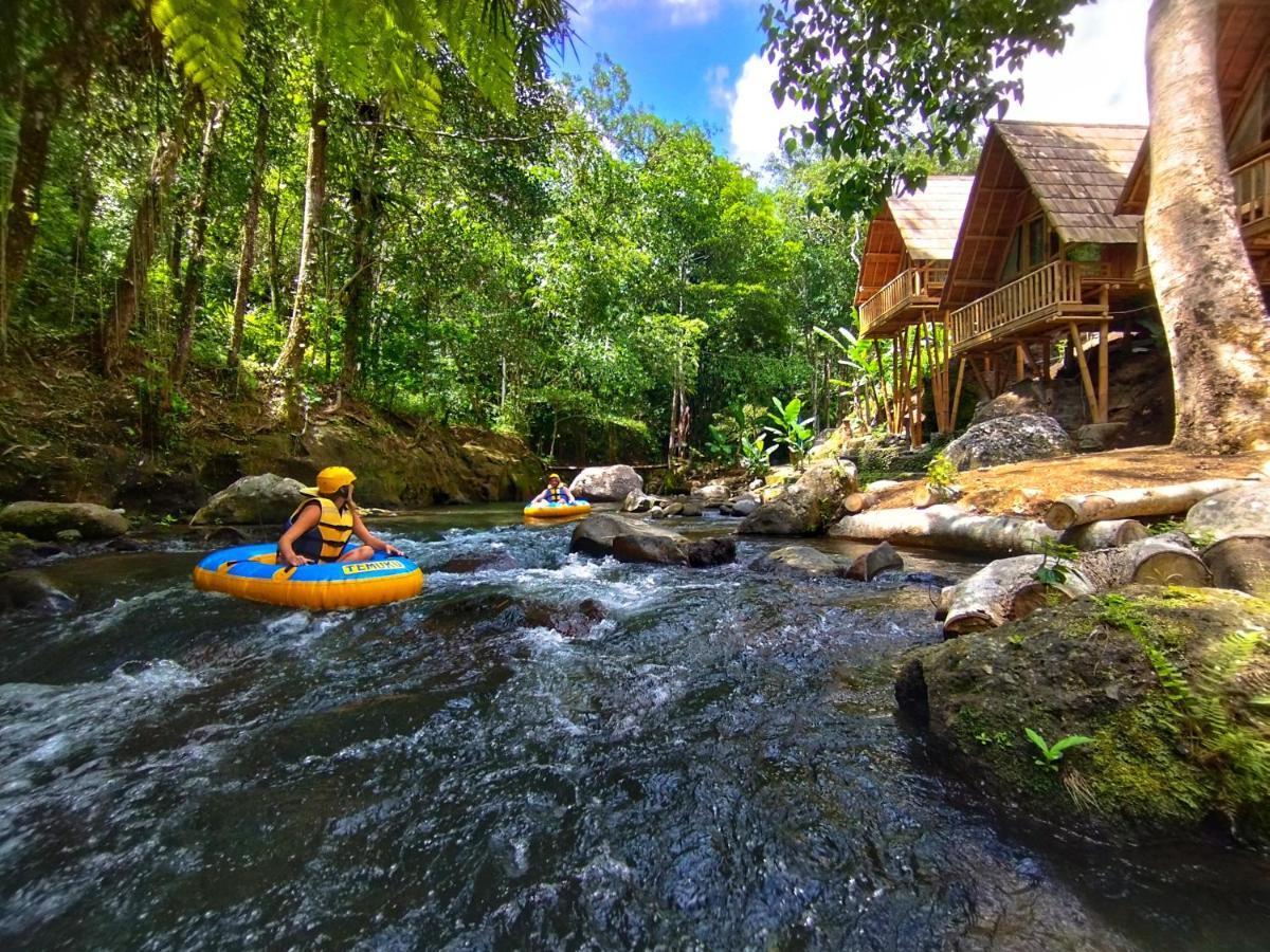 Aksha Riverside Ubud Tampaksiring Eksteriør billede