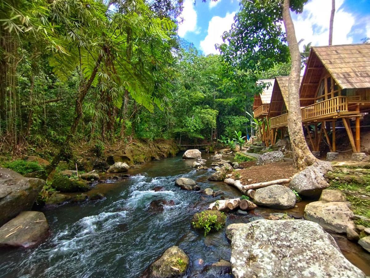 Aksha Riverside Ubud Tampaksiring Eksteriør billede